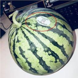 网红吃瓜图,娱乐圈幕后真相大曝光